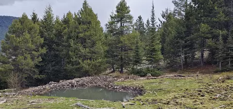 Tract 8, Drummond, MT 59832