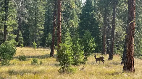 Nhn Hwy 37, Libby, MT 59923