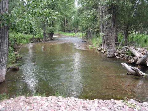 2980 Hwy 83 N, Seeley Lake, MT 59868