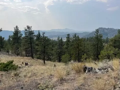 tbd Mountain Home Ln, Cascade, MT 59421