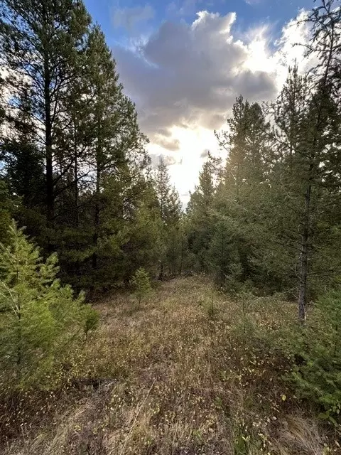 lot10 Black Pine Meadows Subdivision, Philipsburg, MT 59858