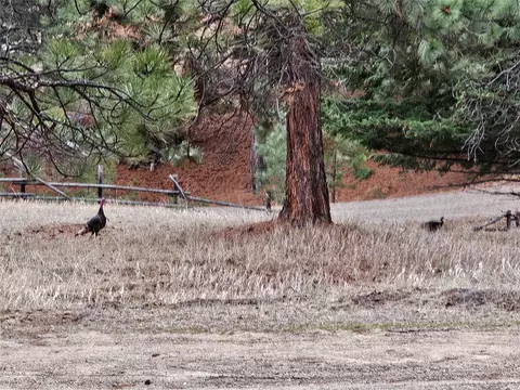 Other - 645 Alvista Loop, Hamilton, MT 59840 photo 7 of 7
