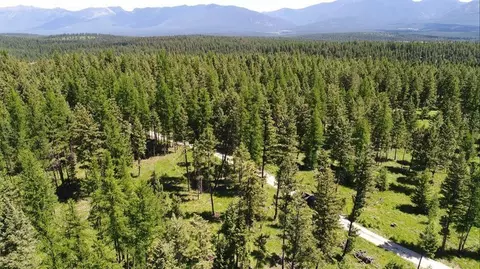 lot2 Meadow Spgs, Fortine, MT 59918