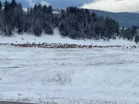 Other - 160 Quirk Trl, Eureka, MT 59917 photo 19 of 29