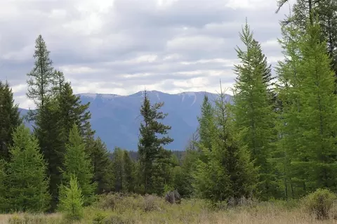lot1 A Meadow Spgs, Fortine, MT 59918