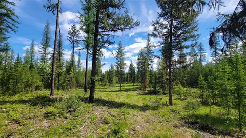 34477 Shay Lake Rd, Bigfork, MT 59911 photo 2