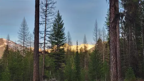 34477 Shay Lake Rd, Bigfork, MT 59911