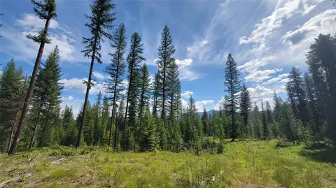 34477 Shay Lake Rd, Bigfork, MT 59911 photo 4