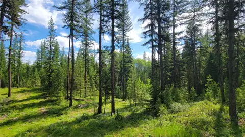 34477 Shay Lake Rd, Bigfork, MT 59911 photo 5