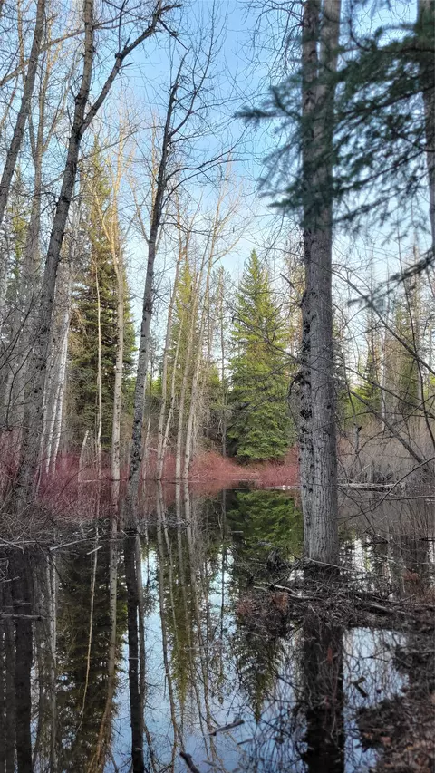 34477 Shay Lake Rd, Bigfork, MT 59911 photo 7