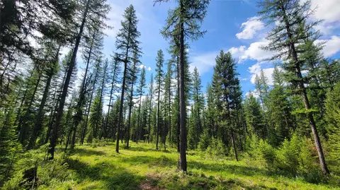 34477 Shay Lake Rd, Bigfork, MT 59911 photo 3