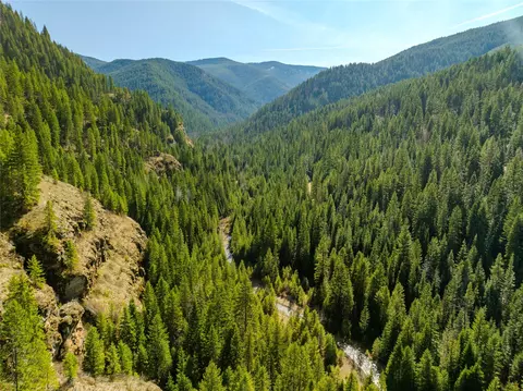 Nhn Pilgrim Creek Road, Noxon, MT 59853