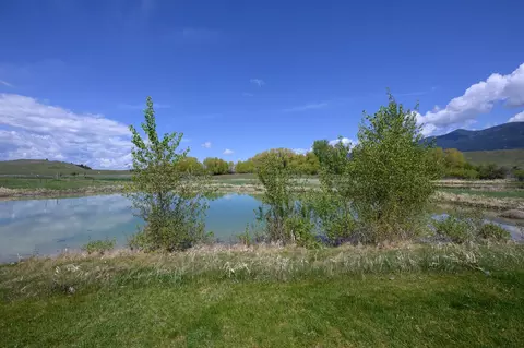446 Kingfisher Loop, Eureka, MT 59917 photo 15