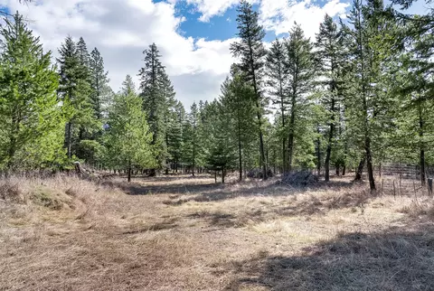 7 Trinkus Ln, Bigfork, MT 59911 photo 11