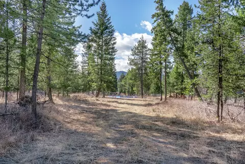 7 Trinkus Ln, Bigfork, MT 59911 photo 10
