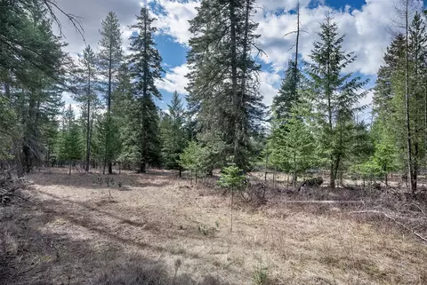 7 Trinkus Ln, Bigfork, MT 59911 photo 12