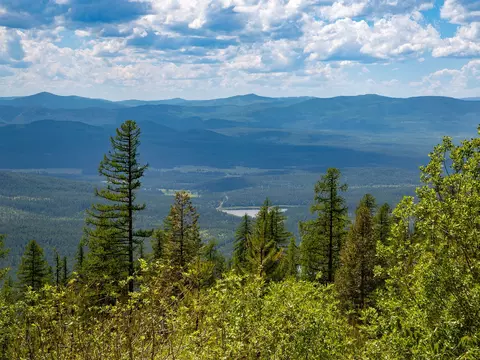 184 Orion Dr, Whitefish, MT 59937