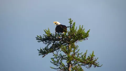 300 Highland Trl, Marion, MT 59925 photo 63