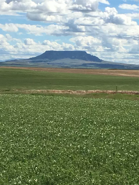 Ukn Flat Creek Road, Geraldine, MT 59446