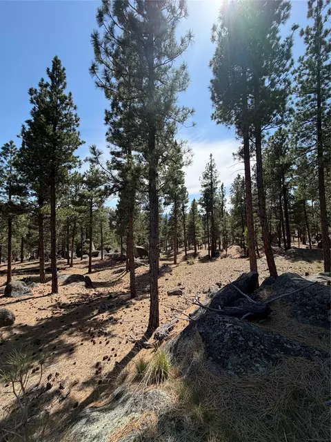 15 Old Abe Rd, Clancy, MT 59634 photo 28