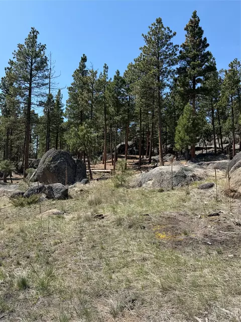 15 Old Abe Rd, Clancy, MT 59634 photo 17
