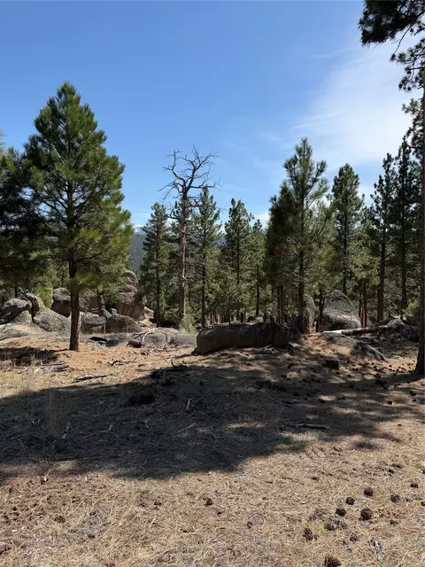 15 Old Abe Rd, Clancy, MT 59634 photo 19