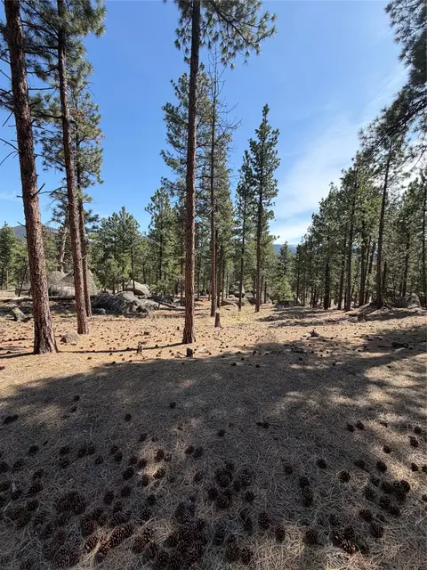 15 Old Abe Rd, Clancy, MT 59634 photo 23