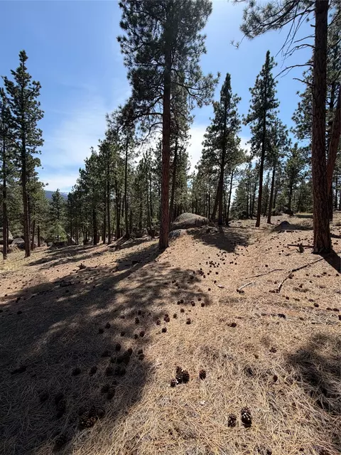 15 Old Abe Rd, Clancy, MT 59634 photo 24