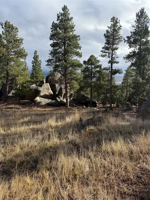 15 Old Abe Rd, Clancy, MT 59634 photo 32