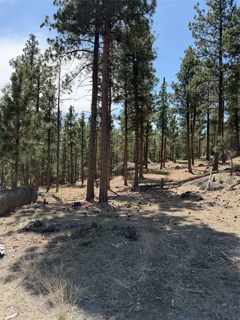 15 Old Abe Rd, Clancy, MT 59634 photo 18