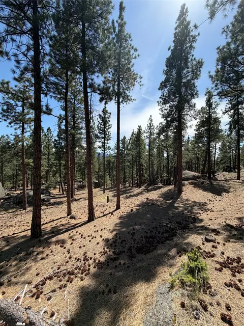 15 Old Abe Rd, Clancy, MT 59634 photo 21