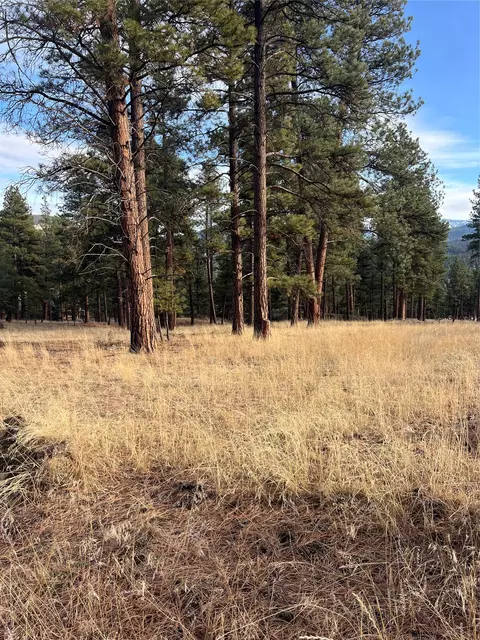 15 Old Abe Rd, Clancy, MT 59634 photo 30