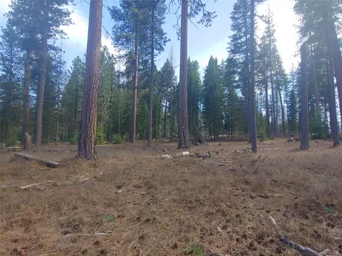 Exterior - Undisclosed, Bigfork, MT 59911 photo 16 of 25