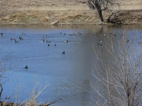 tbd Tbd, Cascade, MT 59421 photo 14