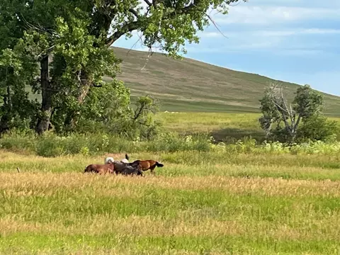 tbd Tbd, Cascade, MT 59421 photo 8