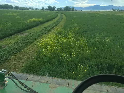 tbd Tbd, Cascade, MT 59421 photo 2