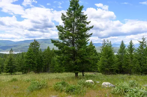 Nhn Linda Vista Drive, Rexford, MT 59930