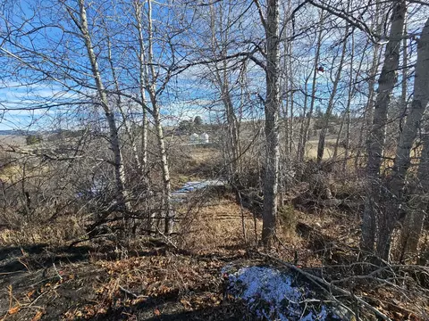 198 Mullan Trail Rd, Gold Creek, MT 59733