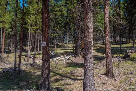 1050 Grandview Dr, Seeley Lake, MT 59868