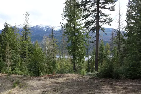 Nhn Into The Woods Trail, Bigfork, MT 59911