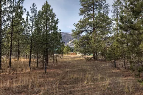 242 Westgate Way, Florence, MT 59833 photo 8