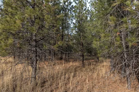 242 Westgate Way, Florence, MT 59833 photo 6