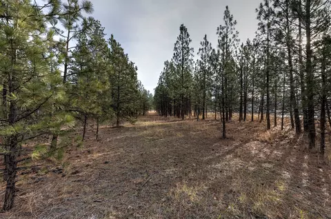 242 Westgate Way, Florence, MT 59833 photo 11