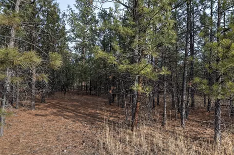 242 Westgate Way, Florence, MT 59833 photo 5