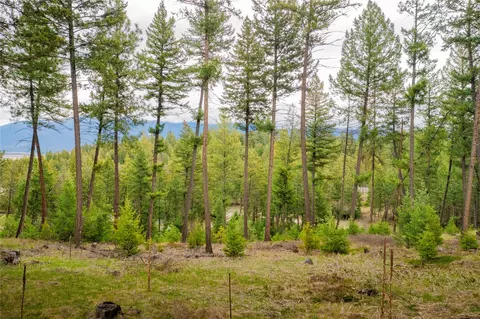 lot7 Tobacco Valley View Rd, Eureka, MT 59917