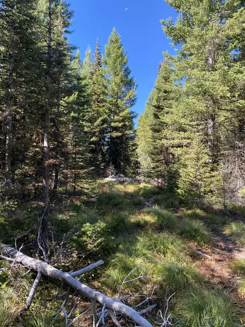 Nhn Mill Creek Road, Frenchtown, MT 59834