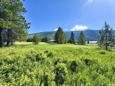 10 Timber Ln, Trout Creek, MT 59874
