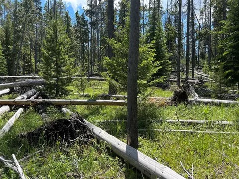 Nhn Spencer, White Sulphur Springs, MT 59645