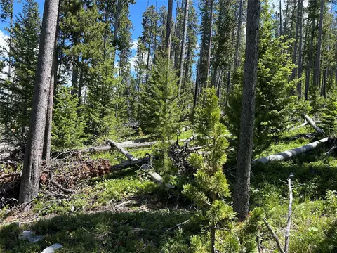 Nhn Heitman, White Sulphur Springs, MT 59645
