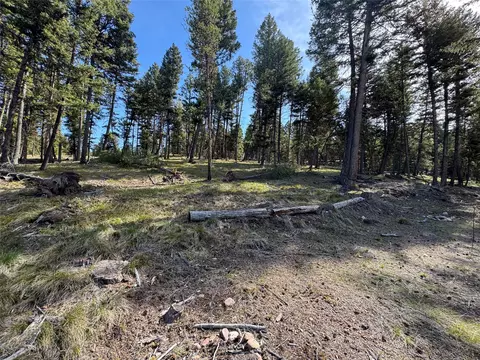 349 Seclusion Pt, Seeley Lake, MT 59868